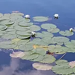 Belle Ile Prázdninový dům Lychen