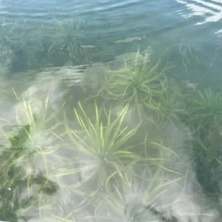 Belle Ile Holiday home