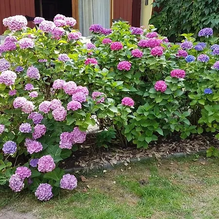 Belle Ile Feriehus *