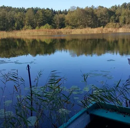 Belle Ile Nyaraló Lychen