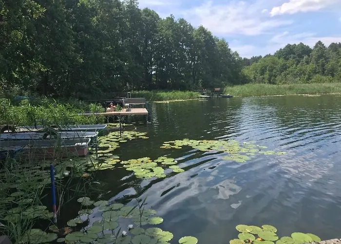 Belle Ile Nyaraló Lychen