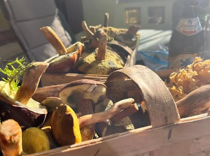 Belle Ile Ferienhaus *