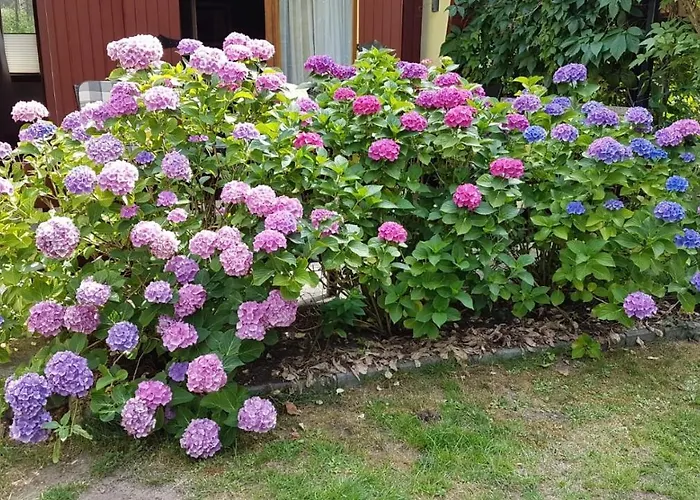 Belle Ile Hébergement de vacances *